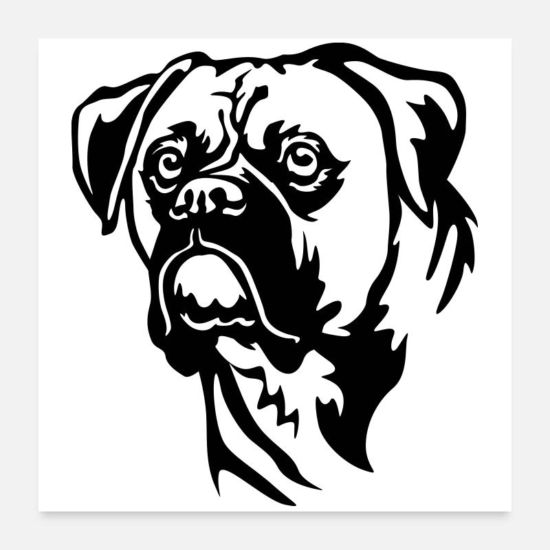 Boxer Kopf Poster 60x60 cm