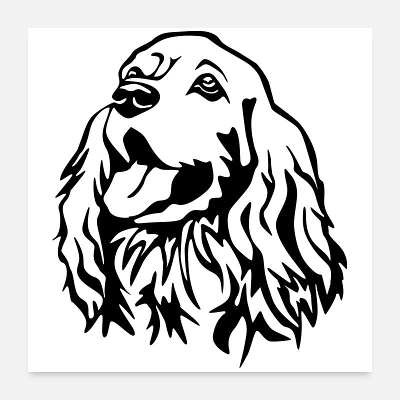 Cocker Spaniel Kopf Poster 60x60 cm