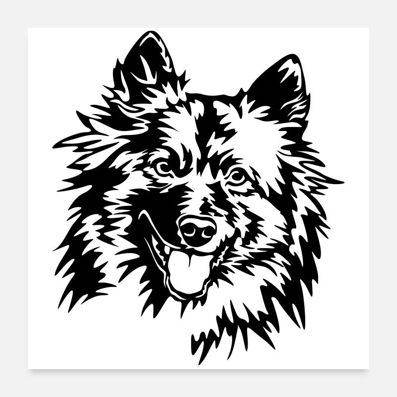 Wolfsspitz Kopf - Poster 60x60 cm - Weiß