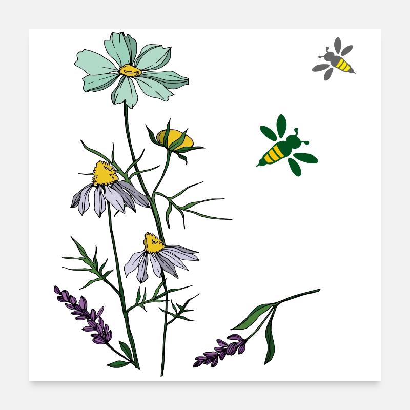 Kräuter, Kamille, Bienen - Poster 60x60 cm - Weiß