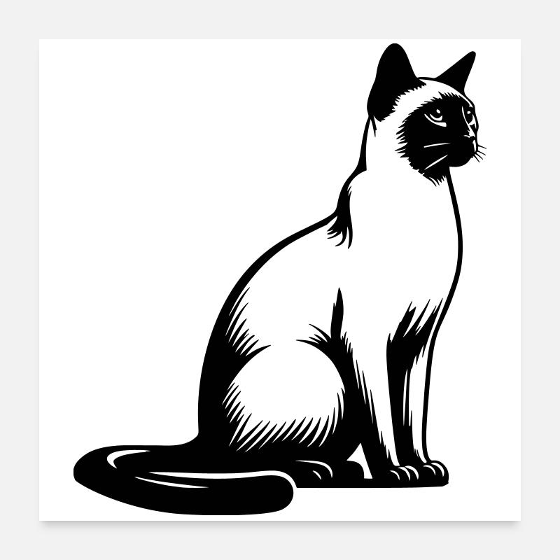 Siamkatze Poster 60x60 cm