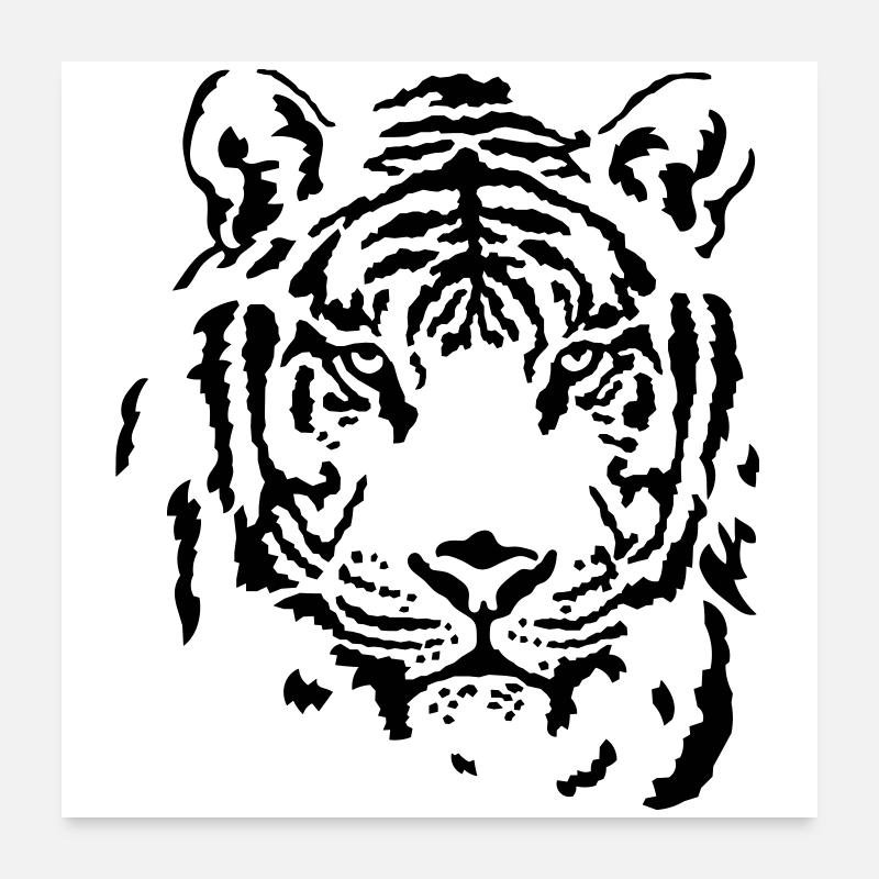 Tiger - Poster 60x60 cm - Weiß