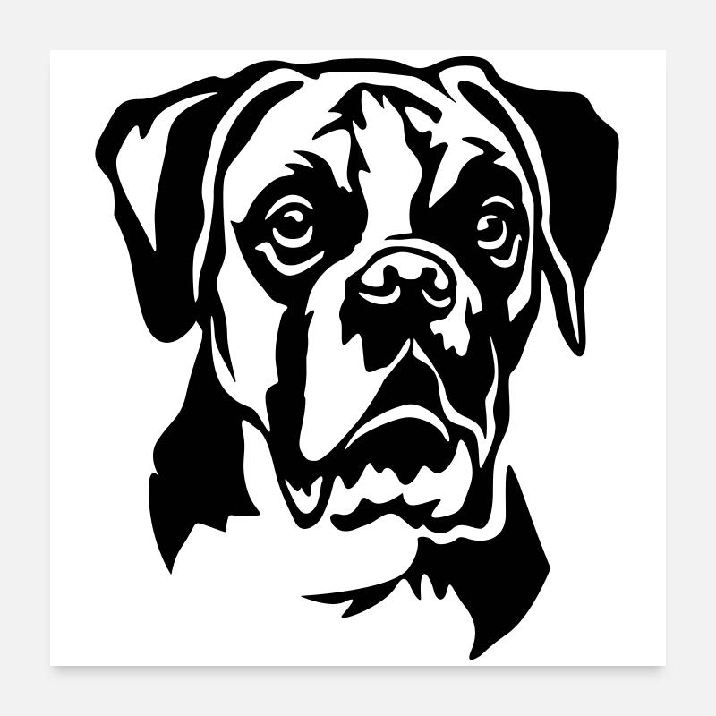 Boxer Head Poster 24" x 24" (60x60 cm)