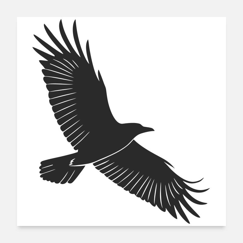 Conception de silhouette d’oiseau gracieuse Poster 60 x 60 cm