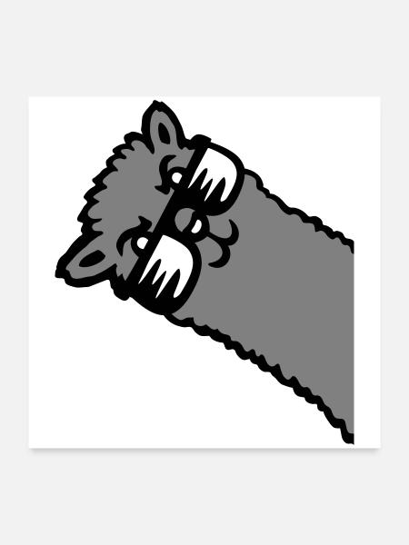 Lama Alpaka Kopf Sonnenbrille cool grau witzig süß - Poster 60x60 cm - Weiß - Vorne