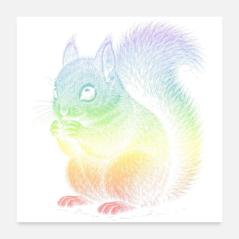 Eichhörnchen Poster 60x60 cm