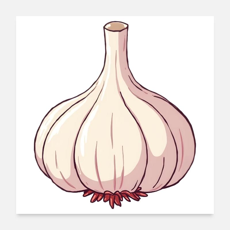 Garlic Poster 24" x 24" (60x60 cm)