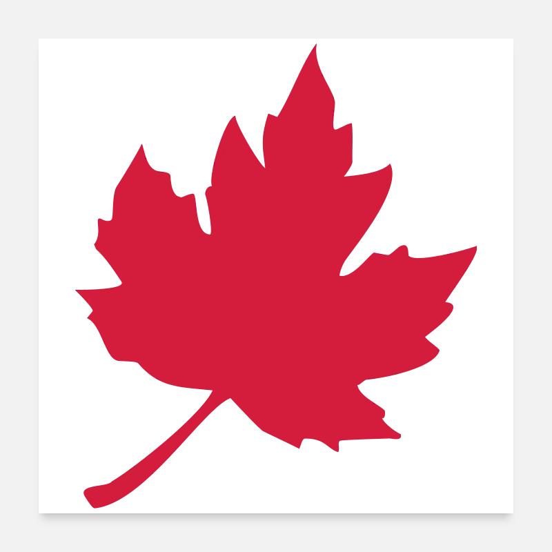 feuilles d'érable Poster 60 x 60 cm