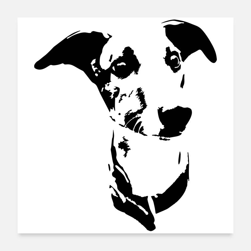 Whippet Kopf Poster 60x60 cm