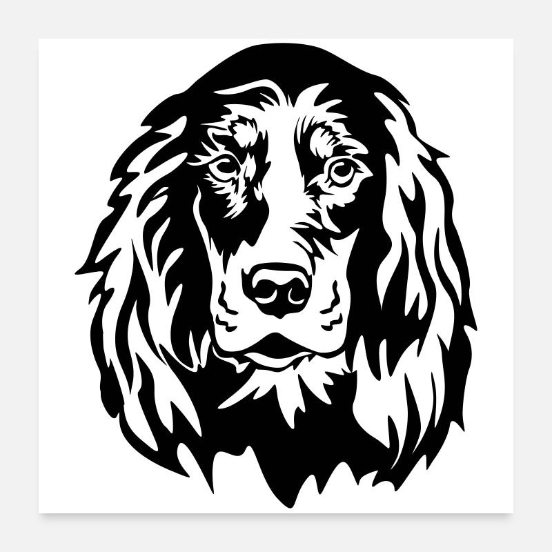 Gordon Setter Kopf - Poster 60 x 60 cm - blanc
