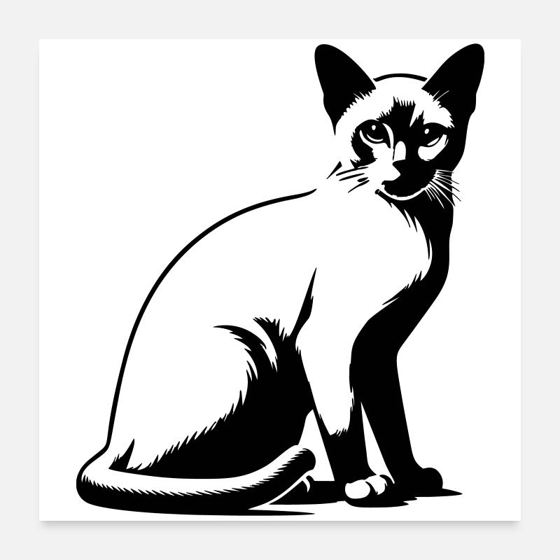 Chat birman Poster 60 x 60 cm