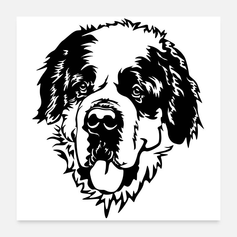Tête de Saint-Bernard Poster 60 x 60 cm