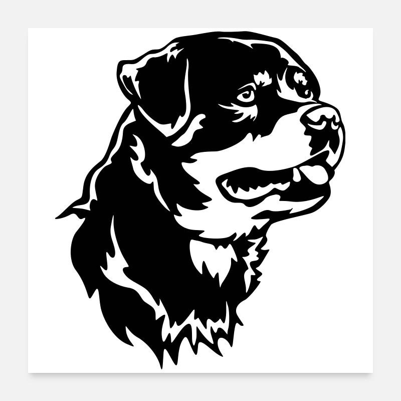 Rottweiler Head Poster 24" x 24" (60x60 cm)