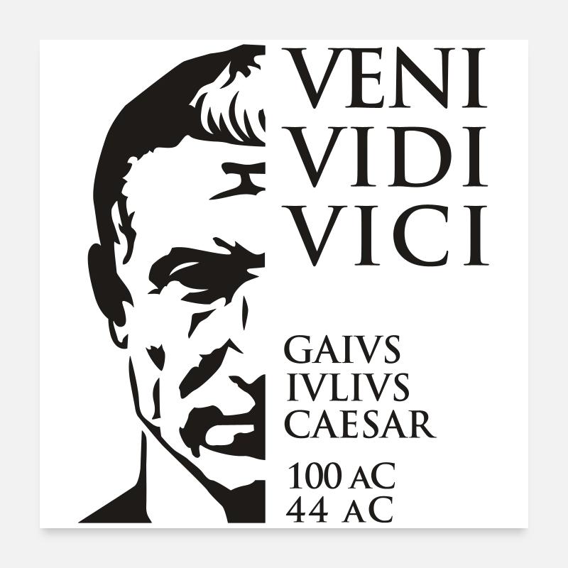 Veni Vidi Vici César Citation Empereur Poster 60 x 60 cm