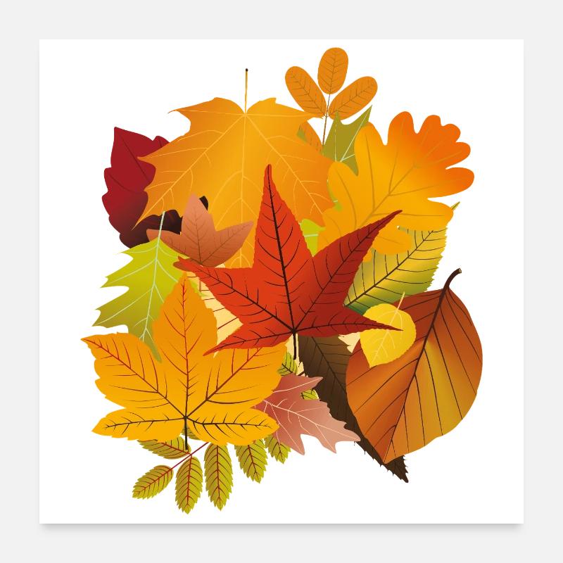 Feuilles d’automne Poster 60 x 60 cm