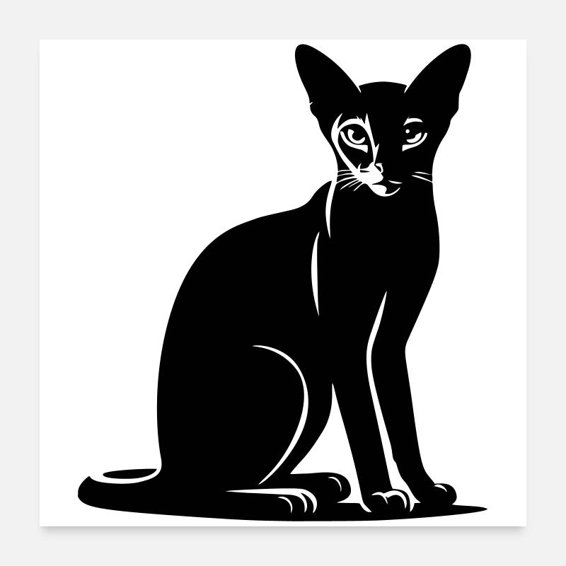 Chat abyssin Poster 60 x 60 cm
