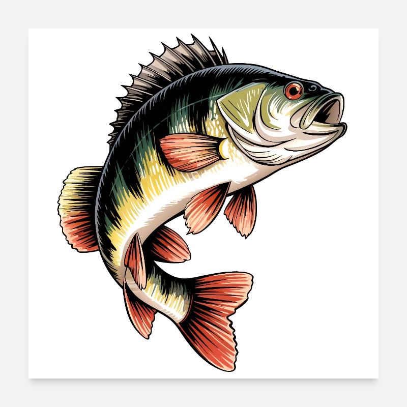 Barsch Motiv Poster 60x60 cm
