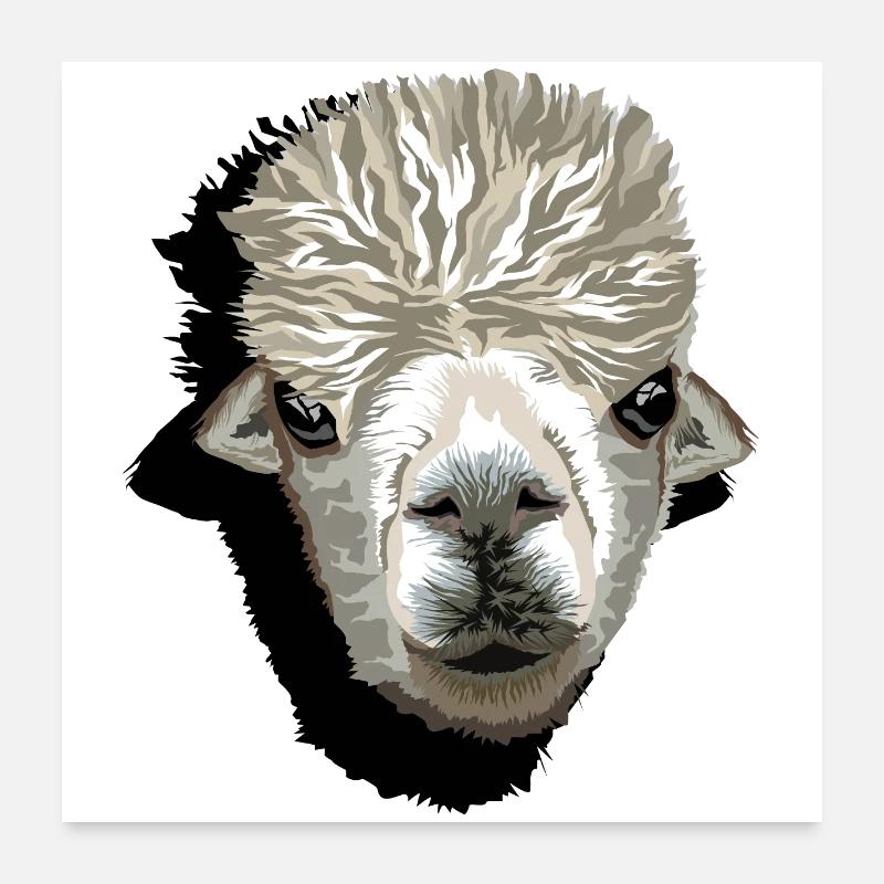 Alpaca funny llama head comic cartoon icon Poster 24" x 24" (60x60 cm)