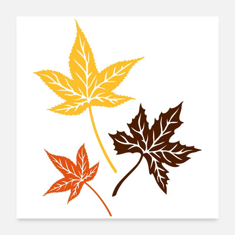 Ahorn Herbstblätter Herbst Blätter - Poster 60x60 cm - Weiß