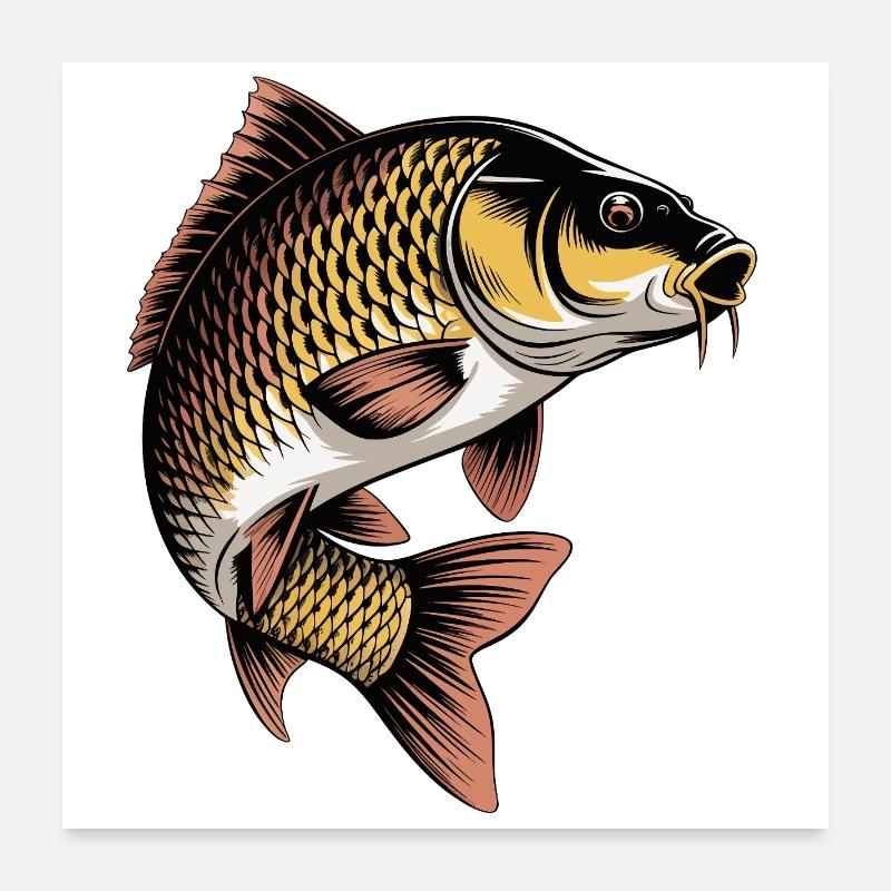 Carpe sauteuse Poster 60 x 60 cm