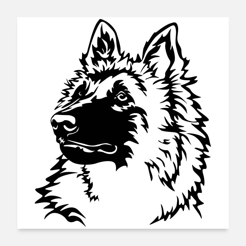 Tervuren Kopf Poster 60x60 cm