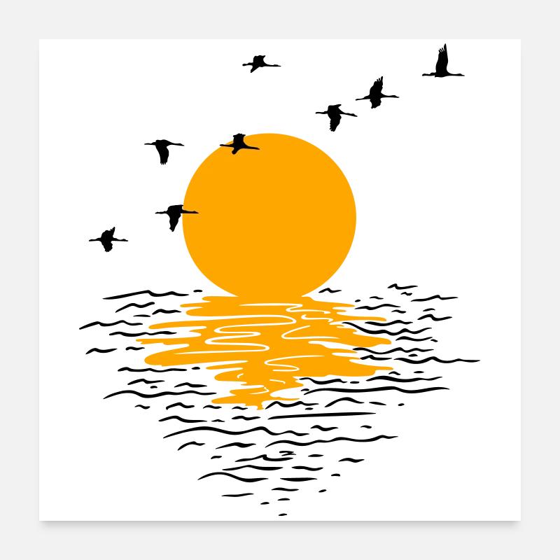 Wildgänse Kraniche Frühling - Poster 60x60 cm - Weiß