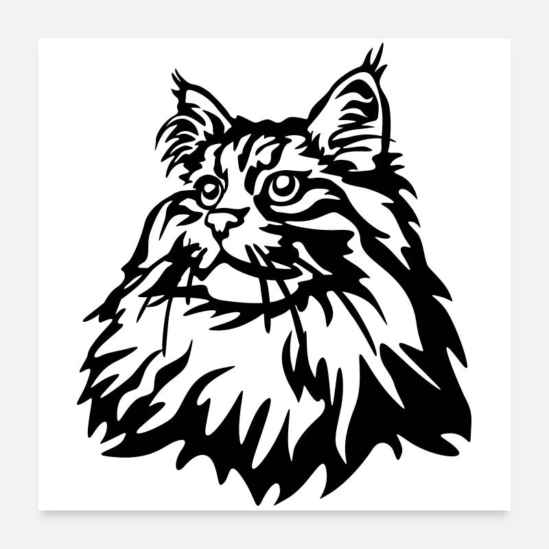 Chat des forêts norvégiennes Poster 60 x 60 cm