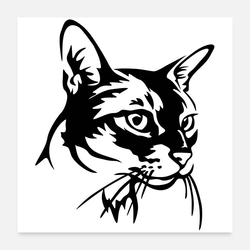 Abyssinian Cat Poster 24" x 24" (60x60 cm)