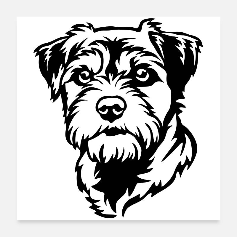 Tête de terrier de la frontière Poster 60 x 60 cm