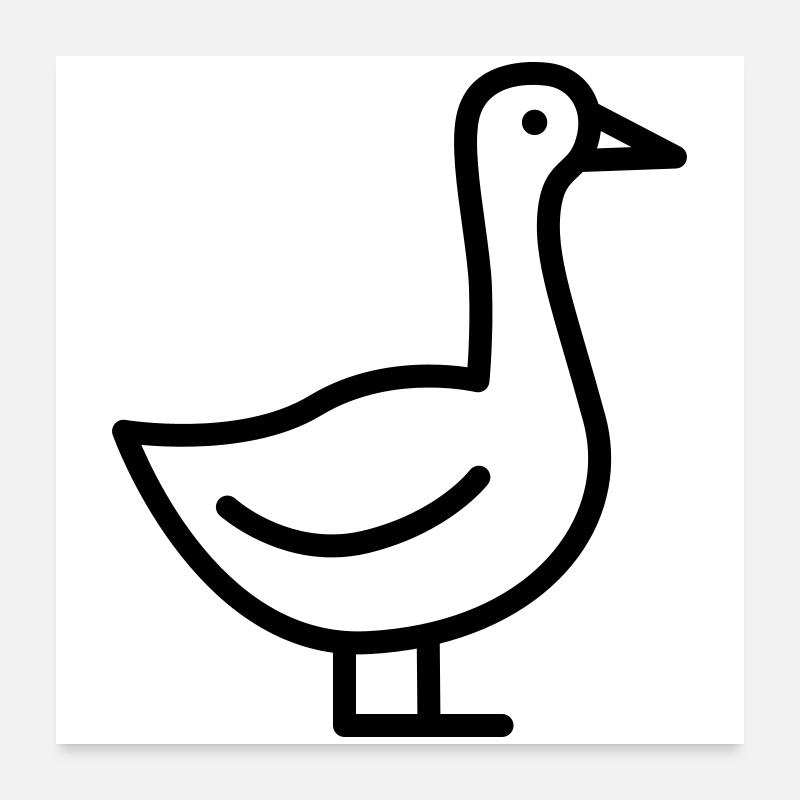 Gans Poster 60x60 cm