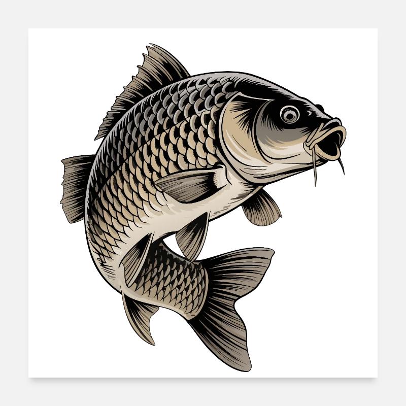 Pêche à la carpe Poster 60 x 60 cm