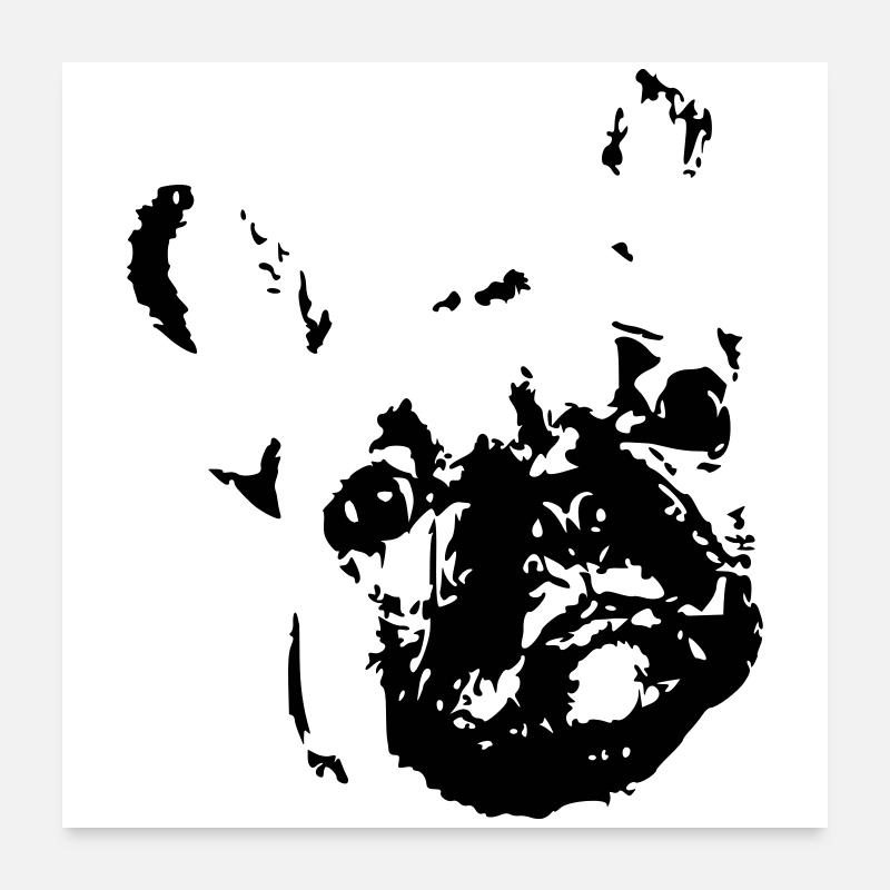 Bouledogue français, bouledogue, bouledogue français Poster 60 x 60 cm