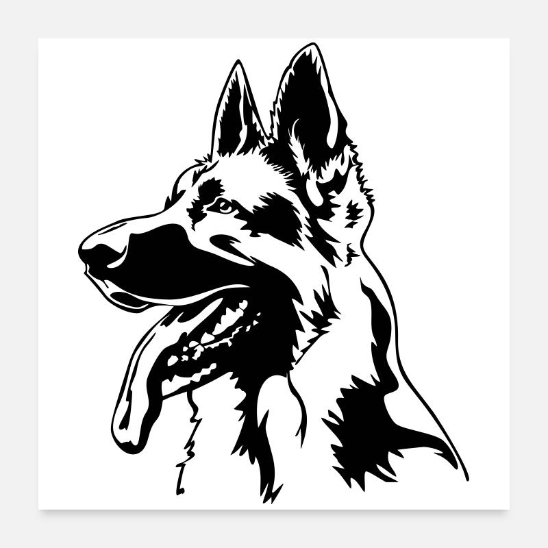 German shepherd head - Poster 24" x 24" (60x60 cm) - white