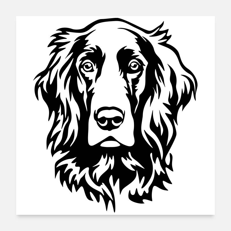 Irish Setter Kopf Poster 60x60 cm