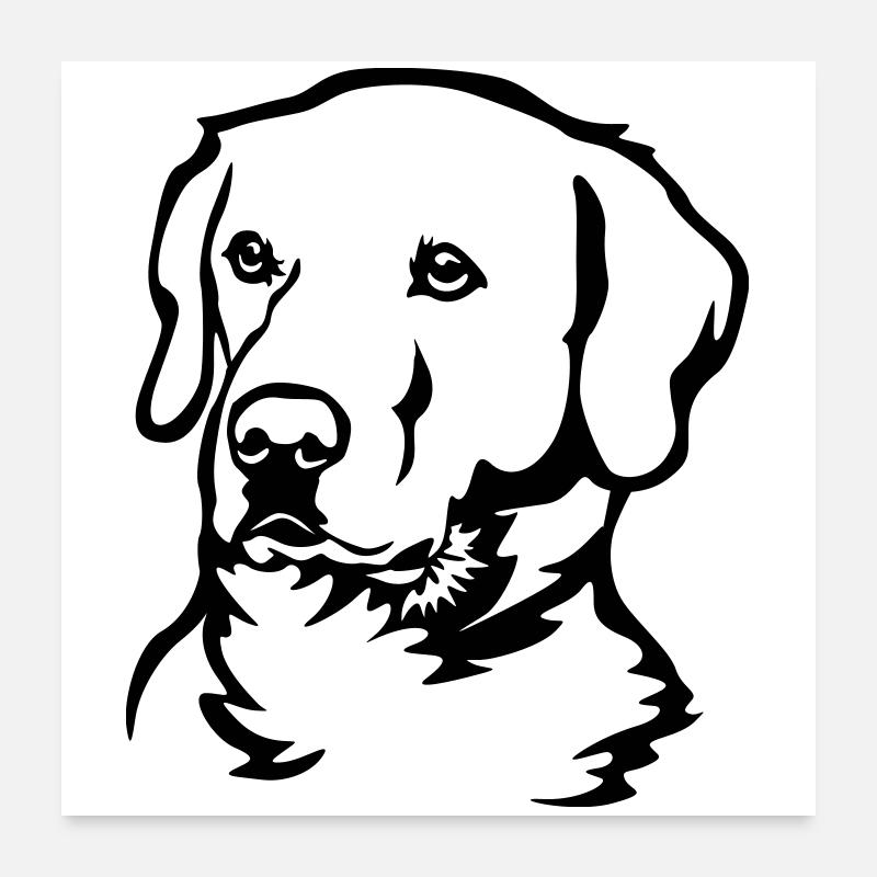 Labrador Head Poster 24" x 24" (60x60 cm)