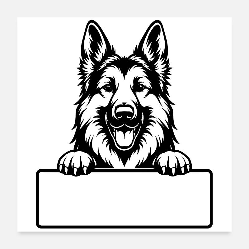 Deutsche Schäferhund Porträt mit Pfoten Poster 60x60 cm