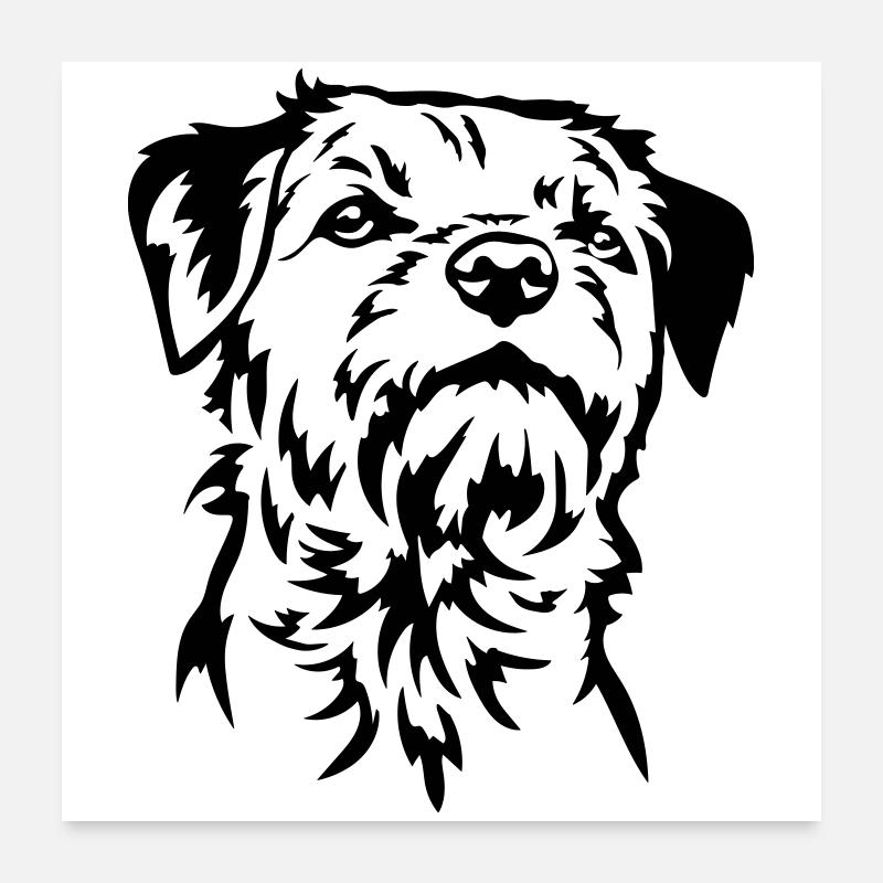 Border Terrier Kopf Poster 60x60 cm