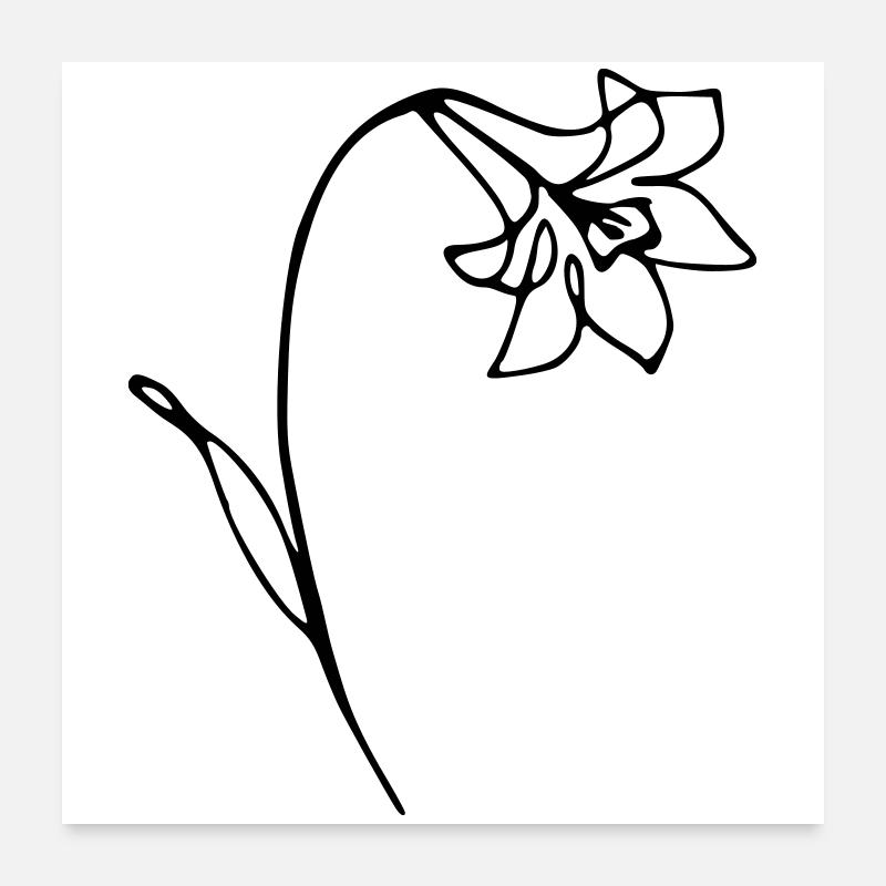 narcissus Poster 24" x 24" (60x60 cm)