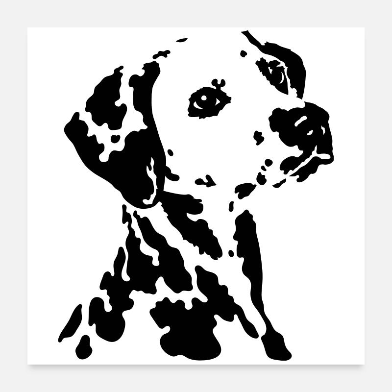 Dalmatiner - Poster 60x60 cm - Weiß