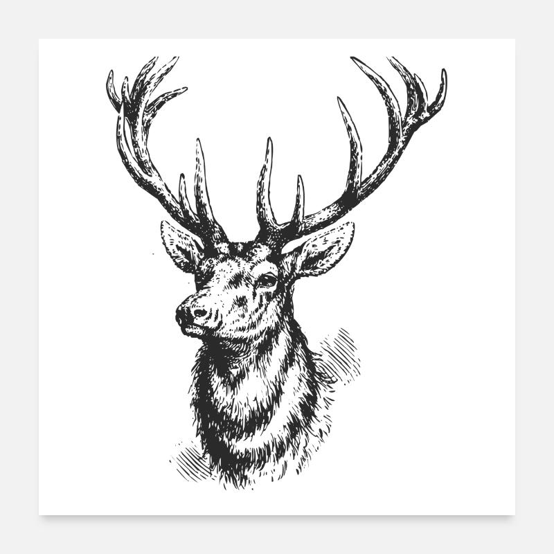 Hirsch - Poster 60x60 cm - Weiß