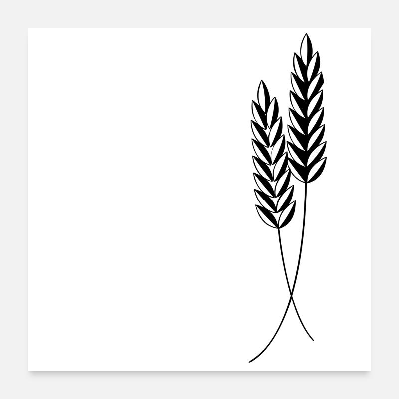 2 épis de maïs Poster 60 x 60 cm