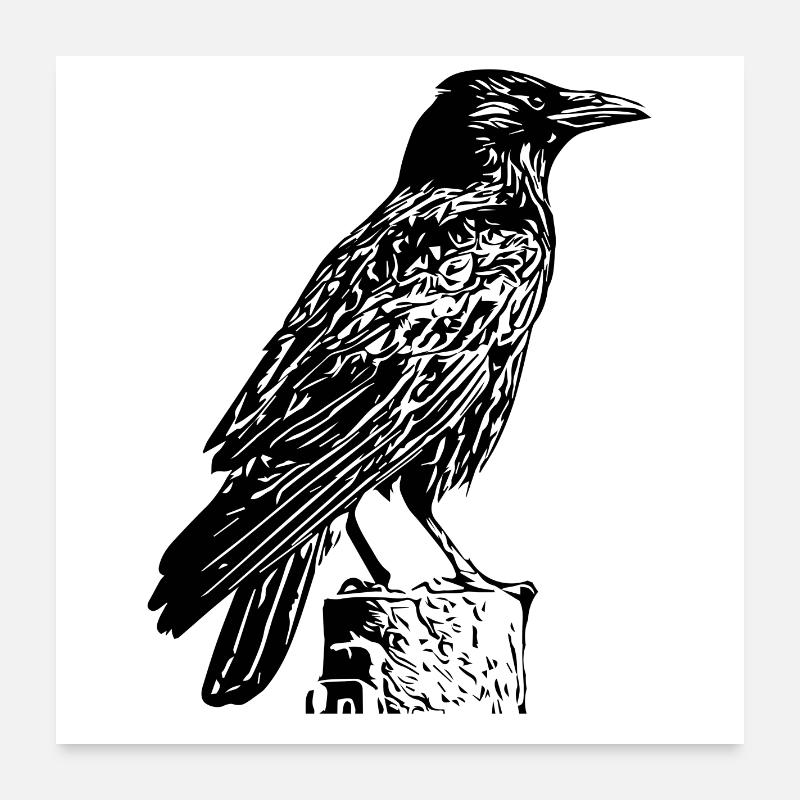 schwarzer Rabe Poster 60x60 cm