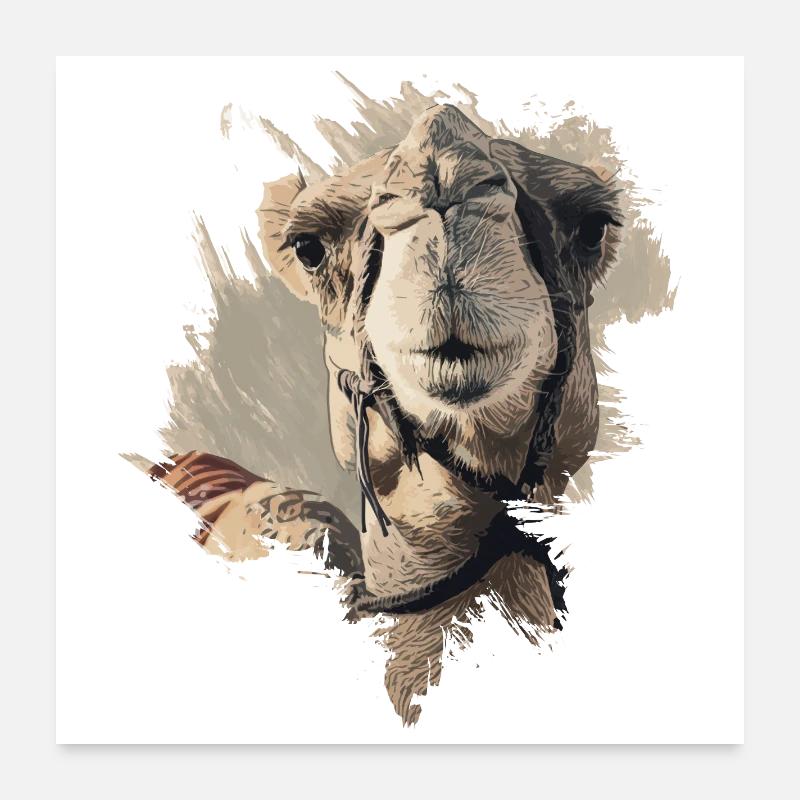 Camel - Poster 24" x 24" (60x60 cm) - white
