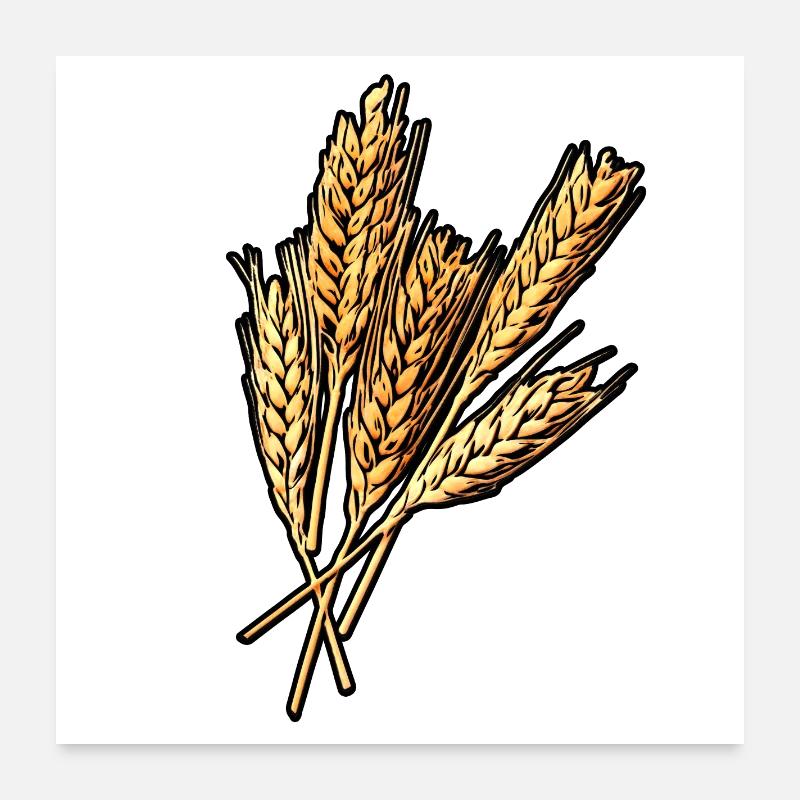 5 Weizen Ähren - Poster 60x60 cm - Weiß