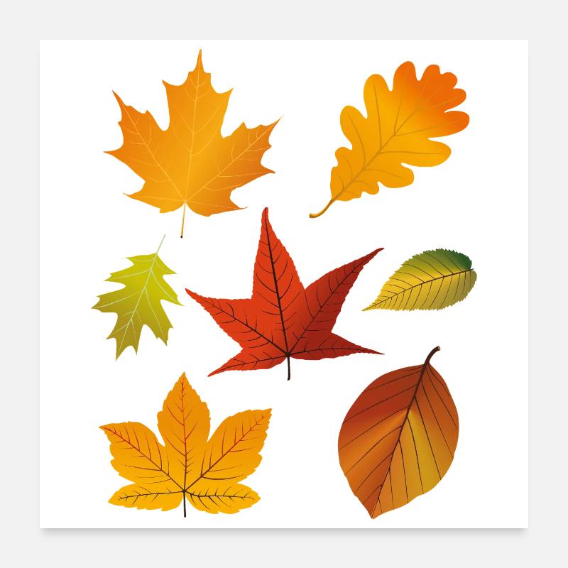 Feuilles d’automne Poster 60 x 60 cm