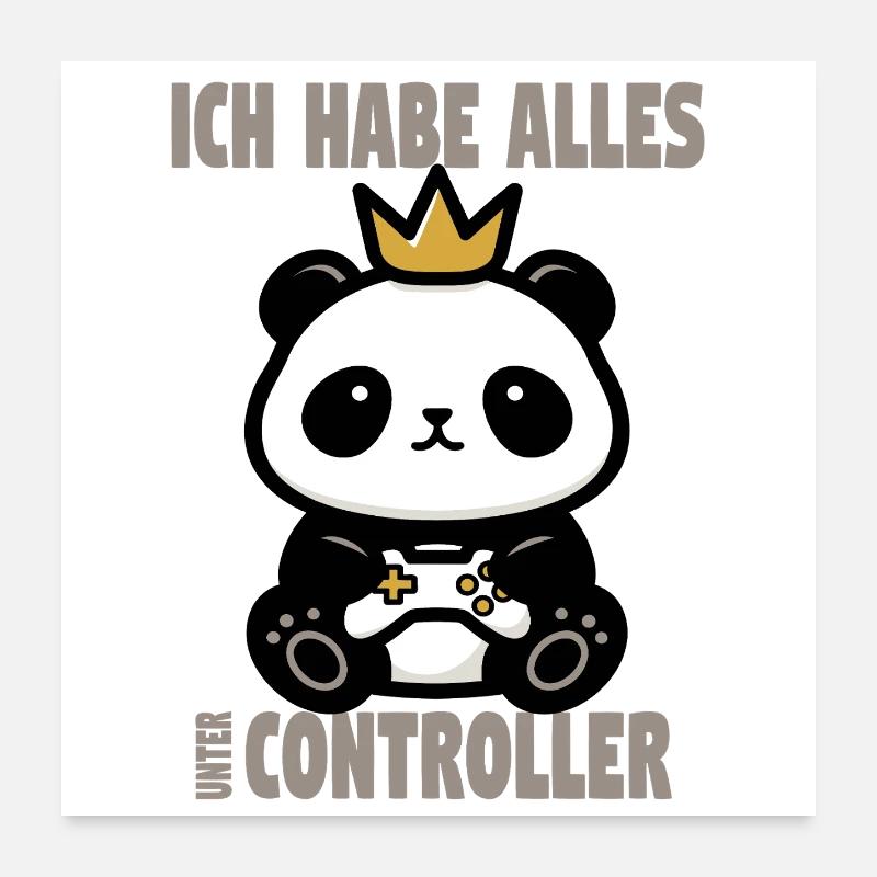 ich habe alles unter controller Poster 60x60 cm