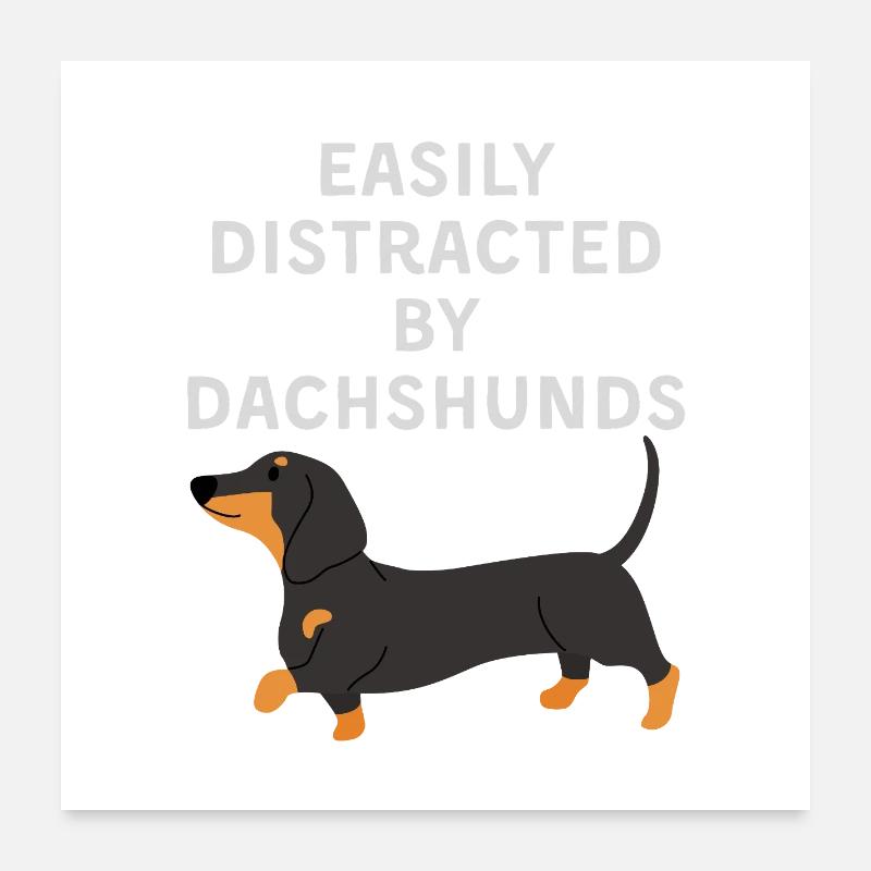 Easily Distracted by Dachshunds - Poster 24" x 24" (60x60 cm) - white