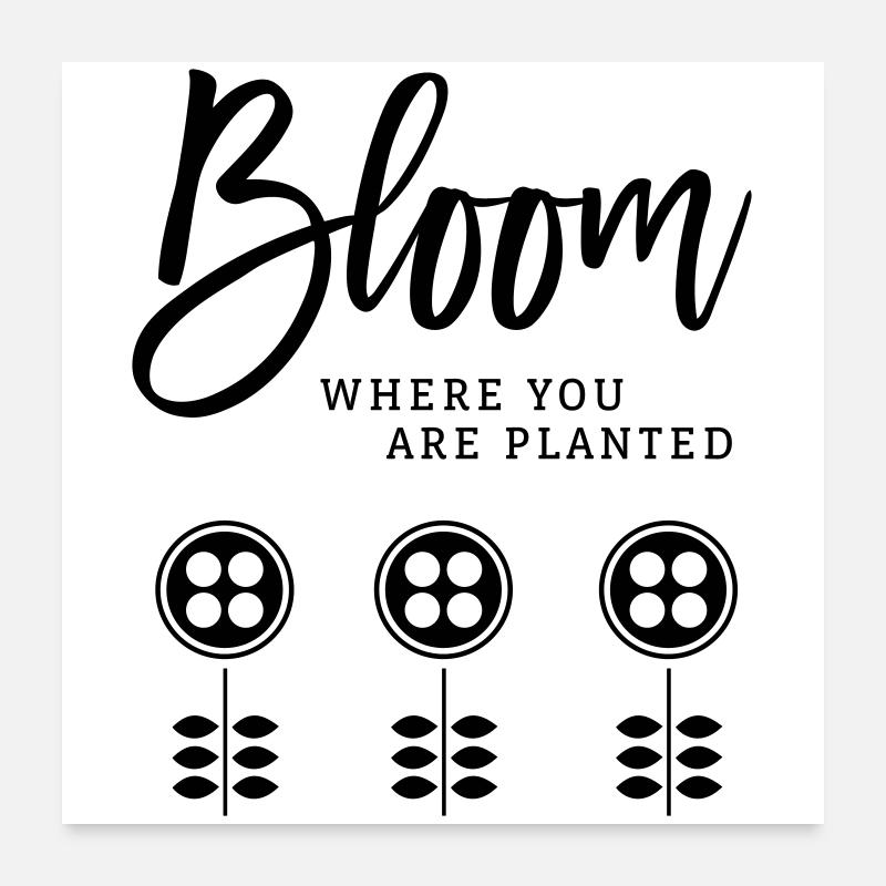 Bloom - Poster 60x60 cm - Weiß
