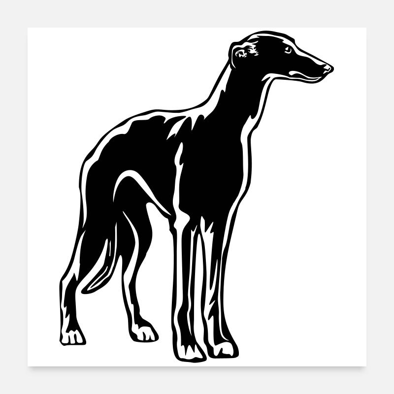 Levrette - Poster 60 x 60 cm - blanc