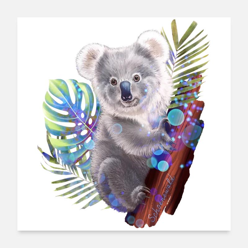 Koala - Poster 60 x 60 cm - blanc